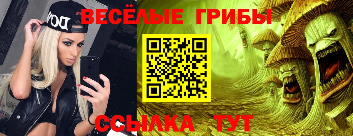 Галлюциногенные грибы ЛСД Канаш